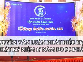Năm 2020 TGĐ Nguyễn Văn Luận phát biểu trong lễ sinh nhật 15 năm